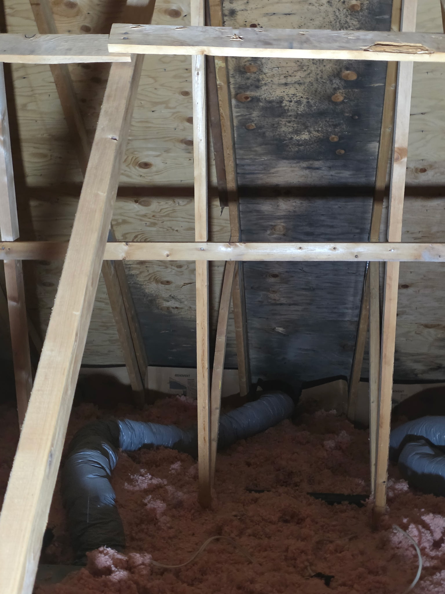 Entretoit avec isolant soufflé, conduits de ventilation et contreventements de toit